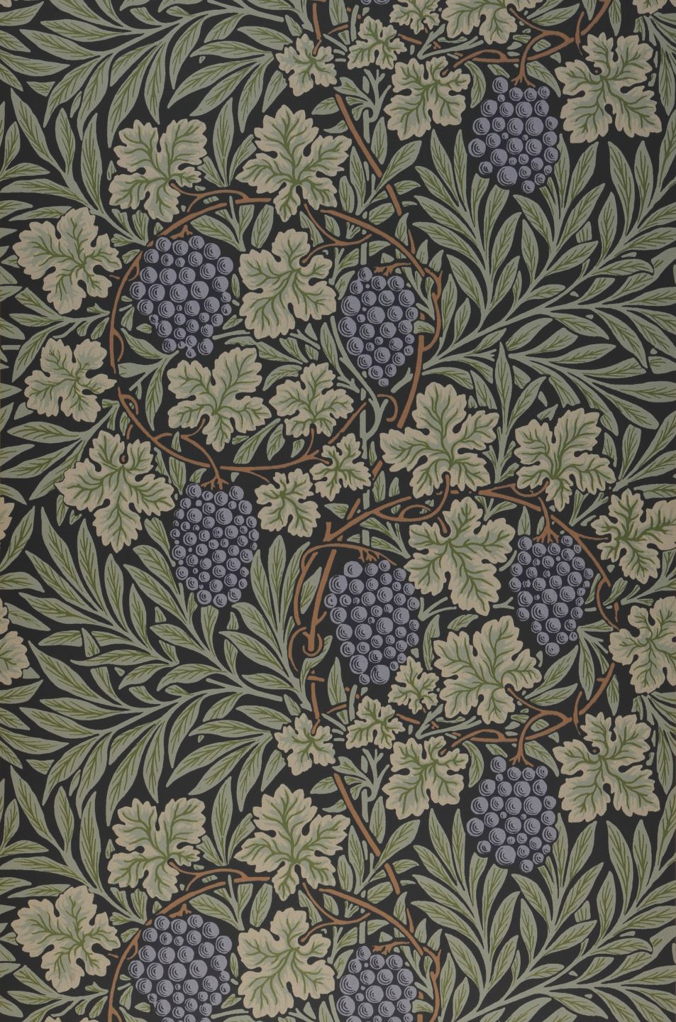  Bedran Lavender