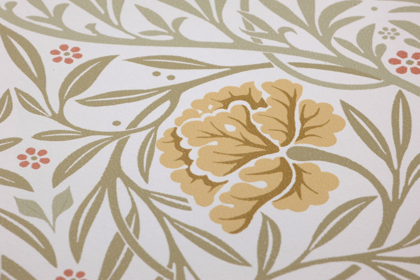  Oswine Cream White