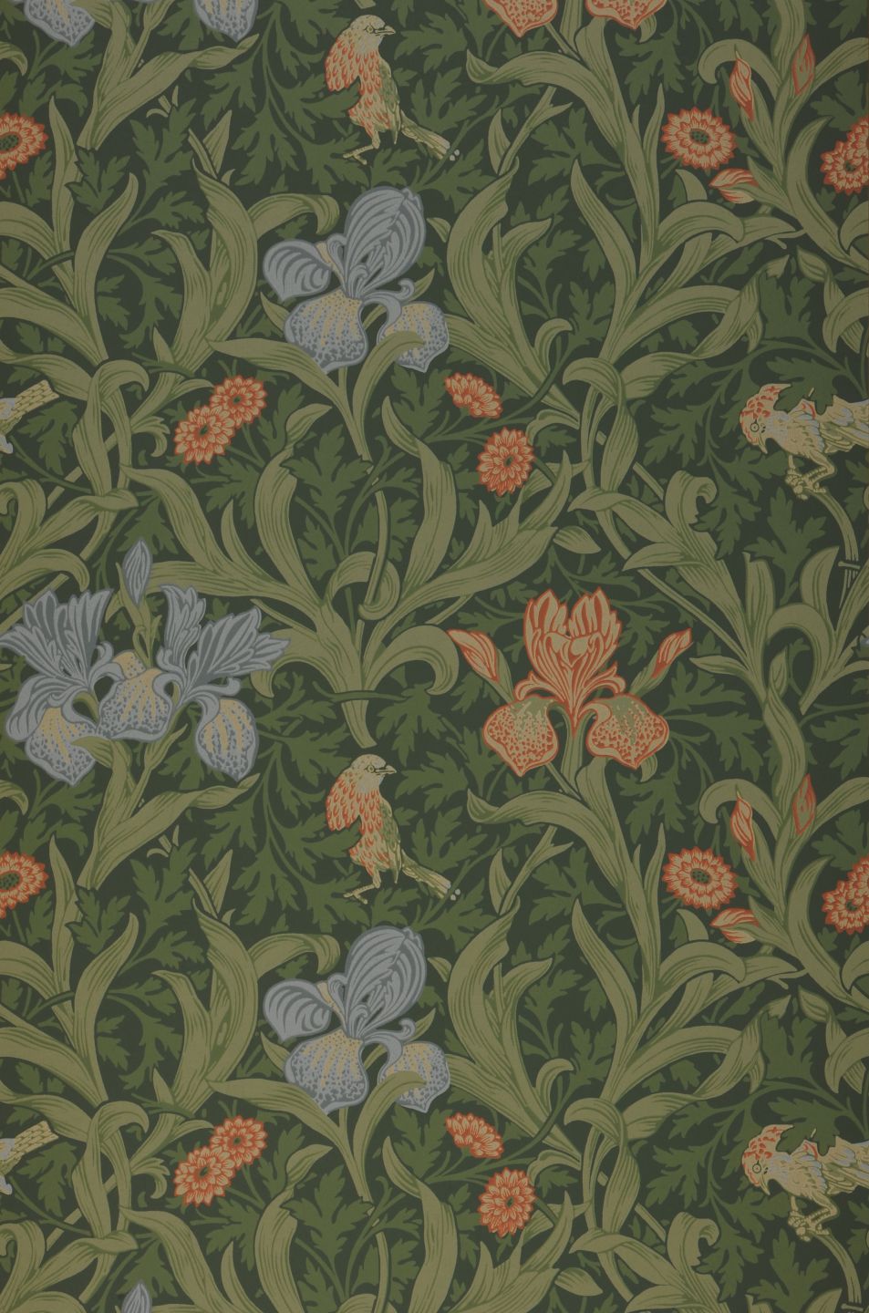  Amelia Dark Green