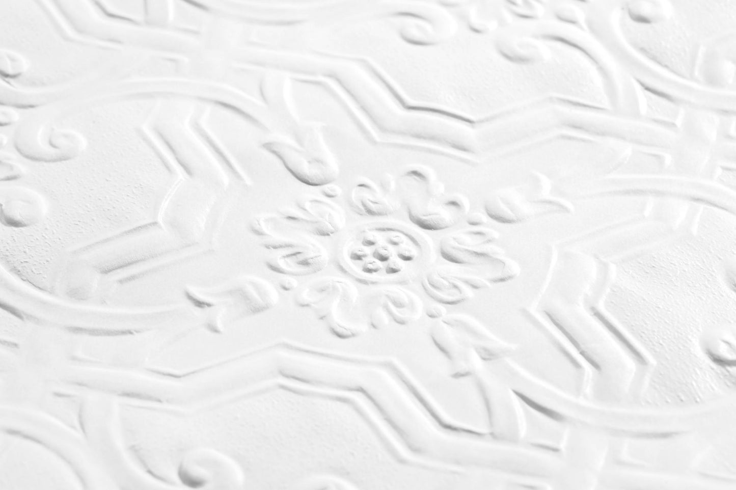  Berkeley White