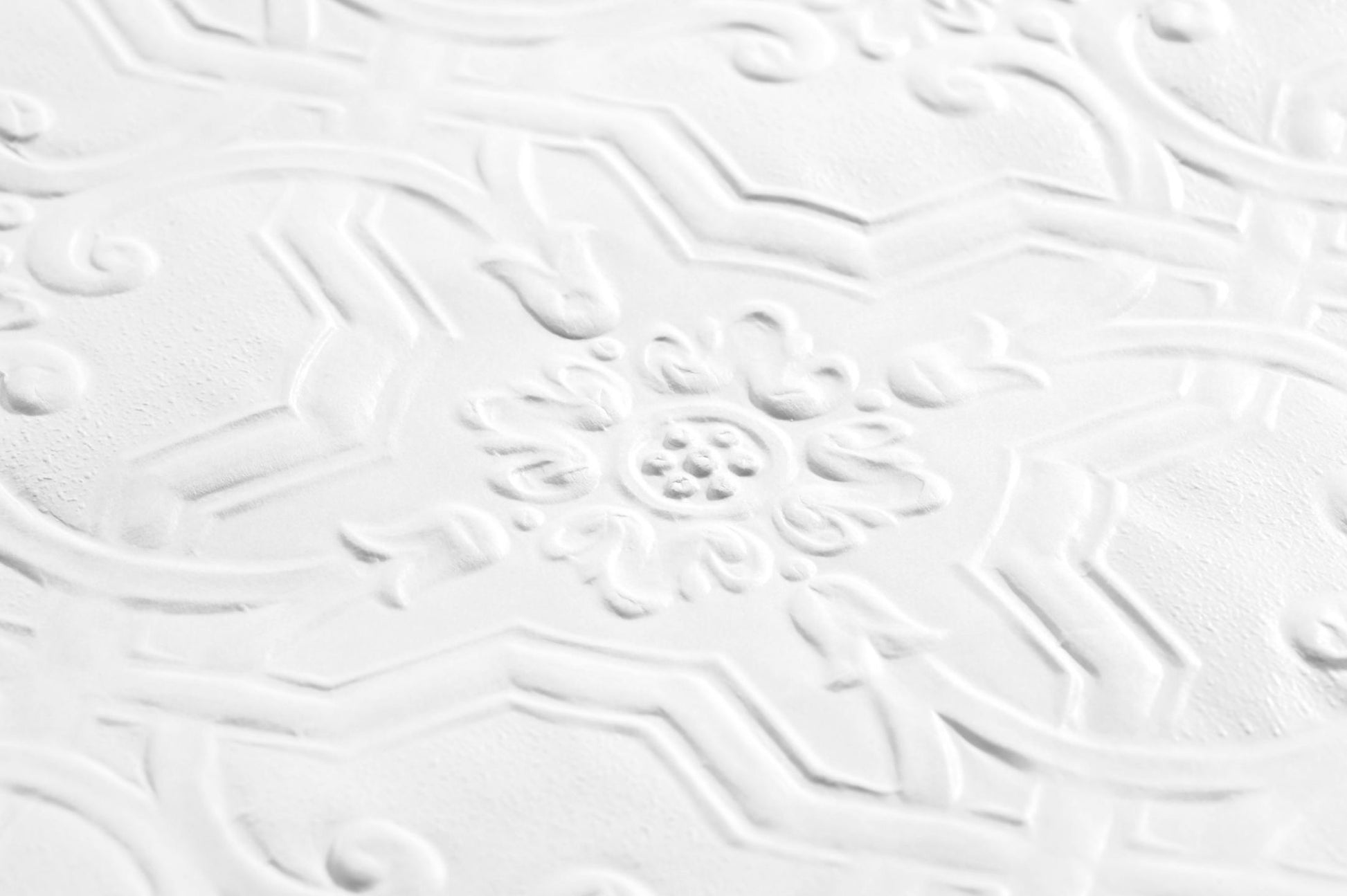  Berkeley White