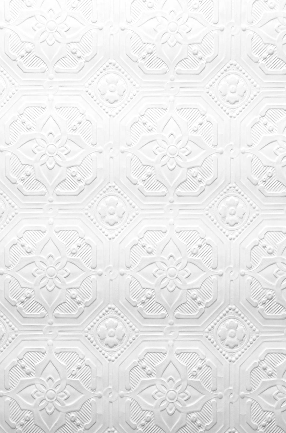  Derby White