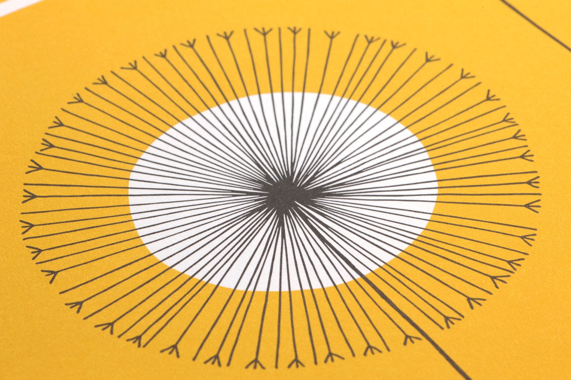  Grasslands Sun Yellow