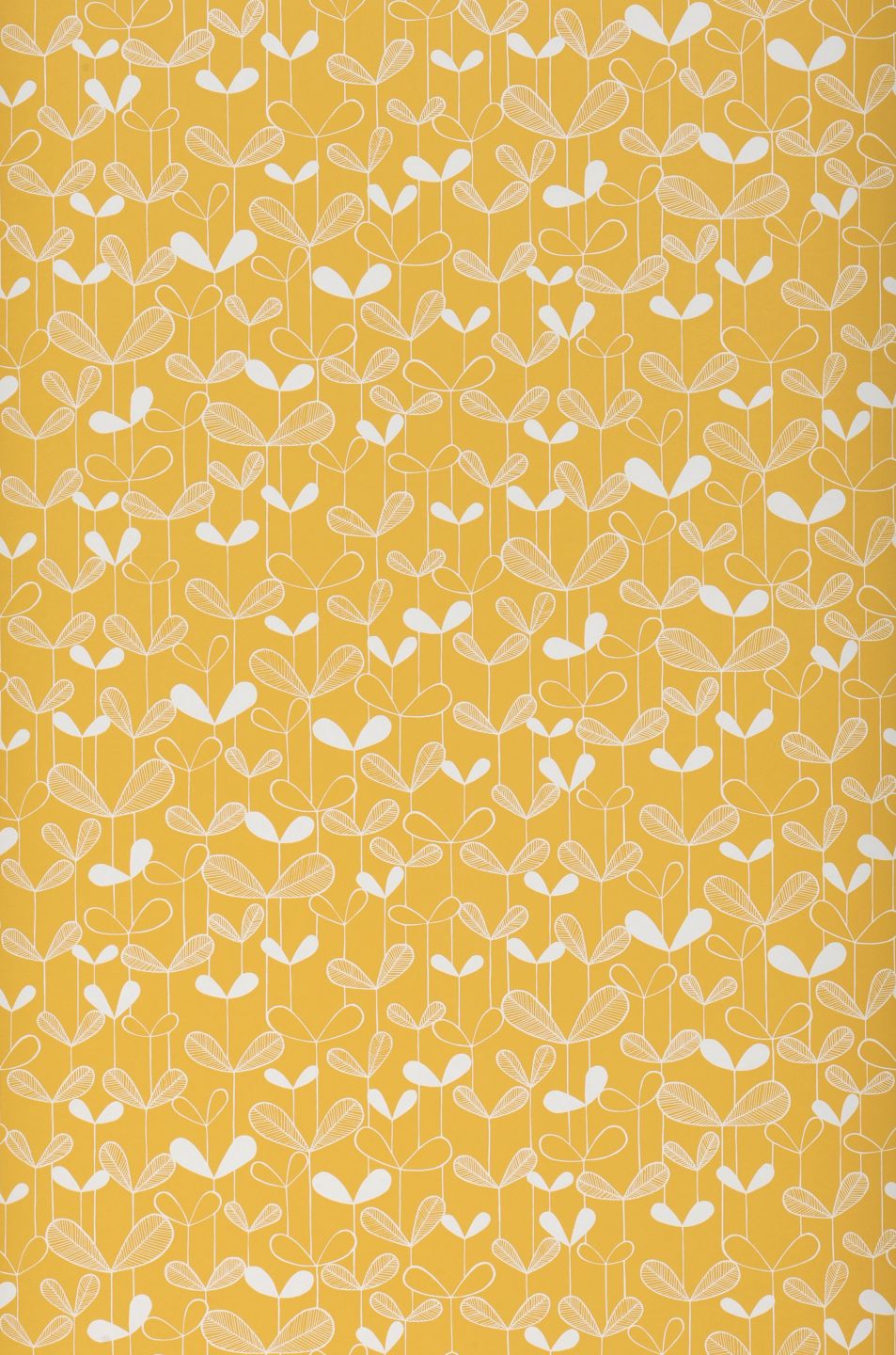  Sunflower Golden Yellow