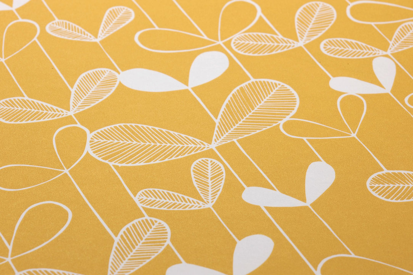  Sunflower Golden Yellow
