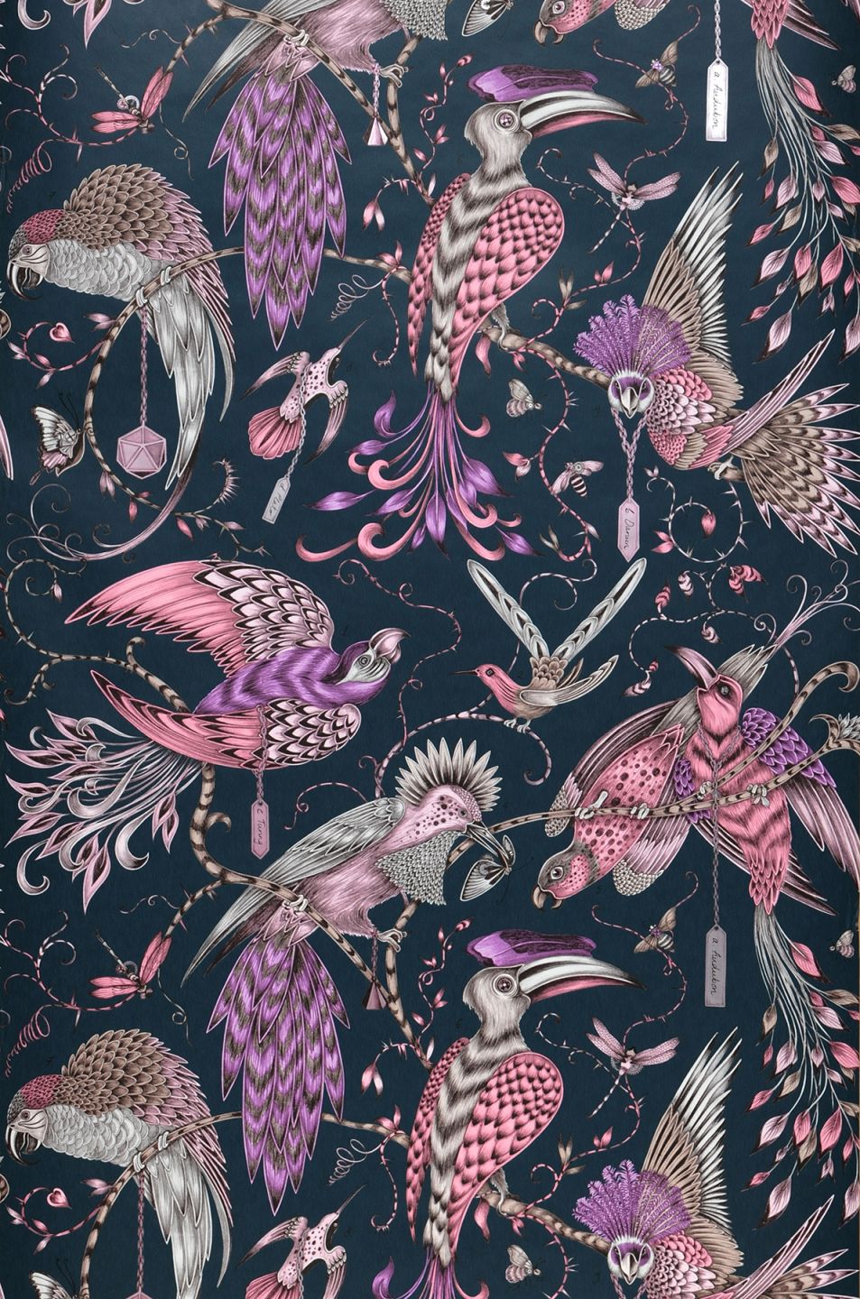  Audubon Violet