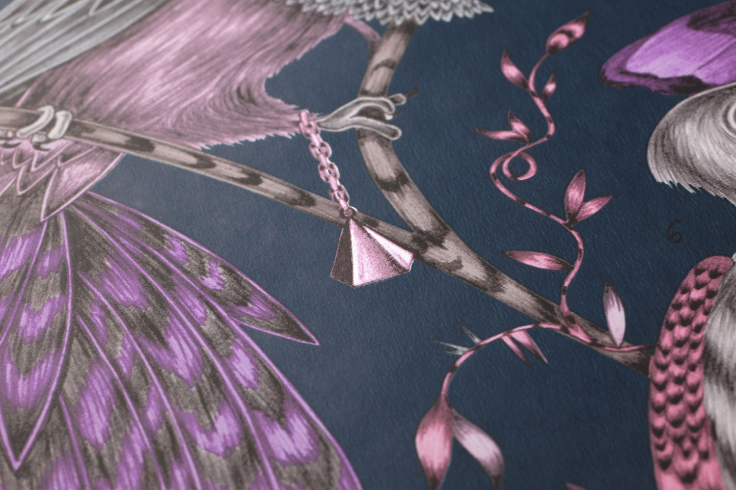  Audubon Violet