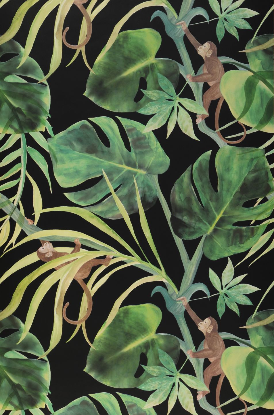  Jungle Jim Black