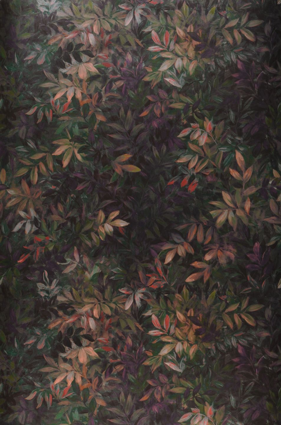  Congo Crimson Violet