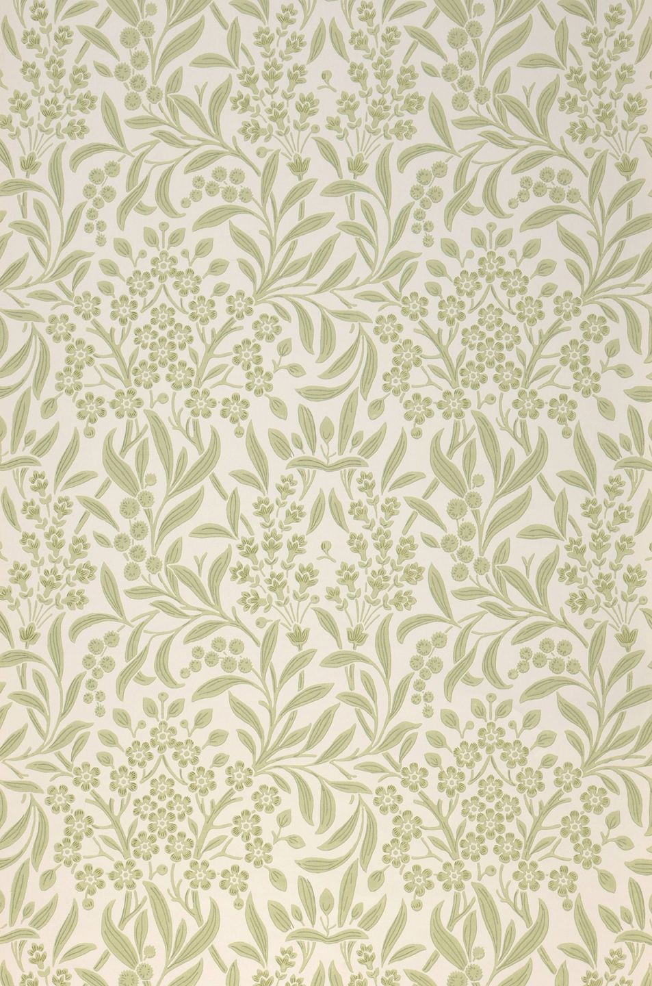  Geraldine Pale Green