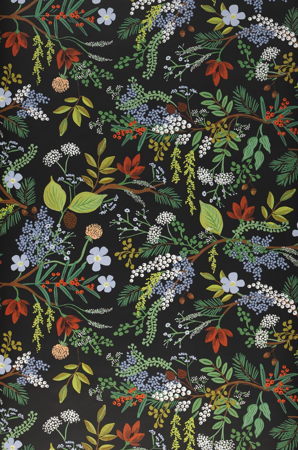  Juniper Forest Black