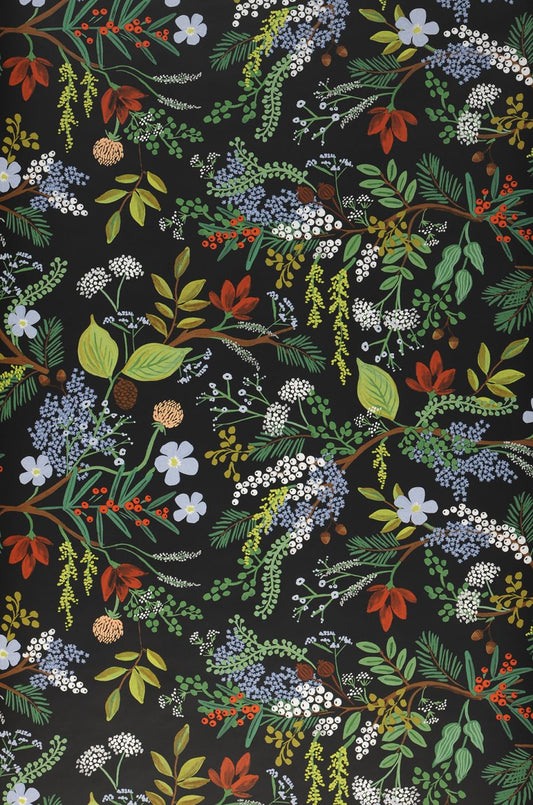  Juniper Forest Black