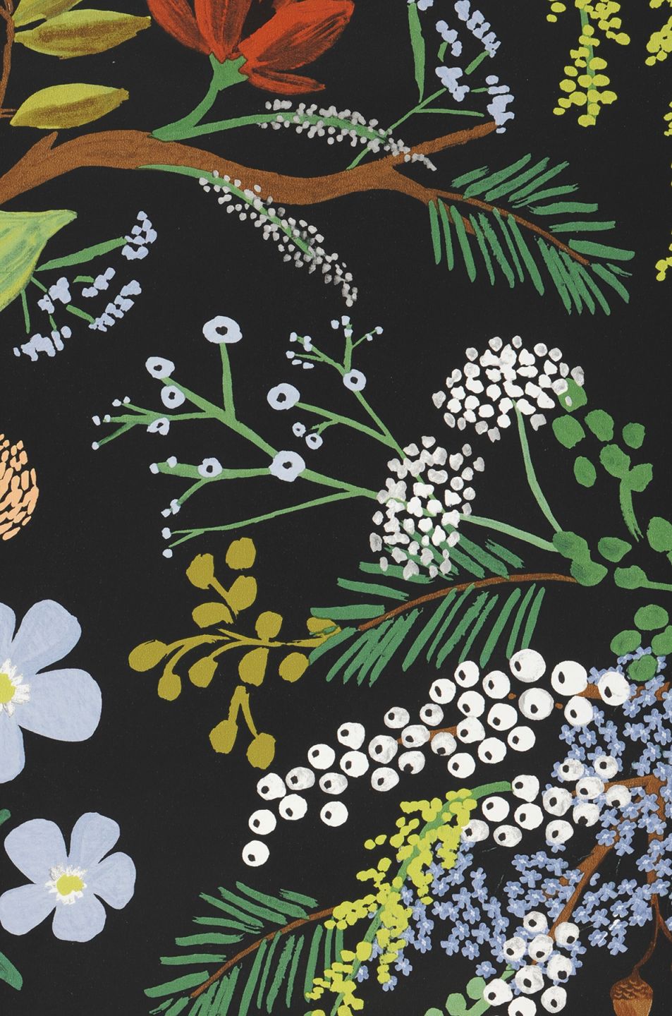  Juniper Forest Black
