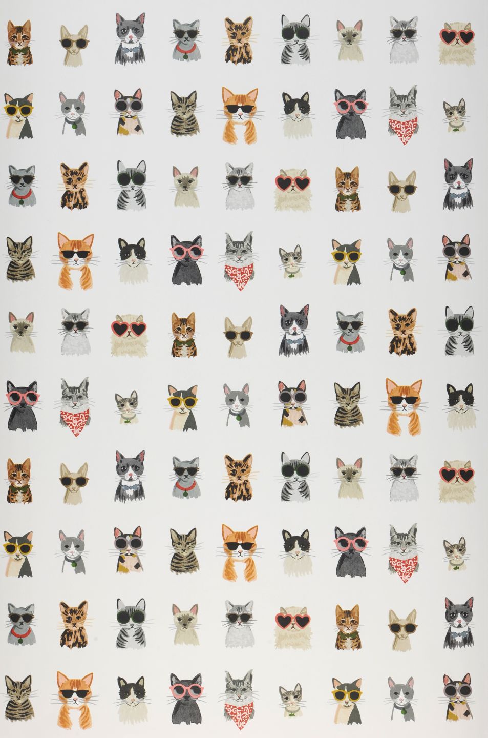 YORK Cool Cats White