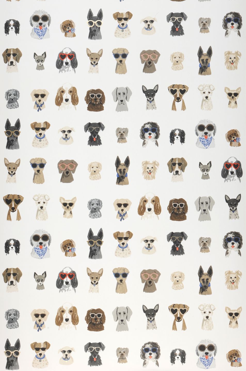YORK Dog Days White
