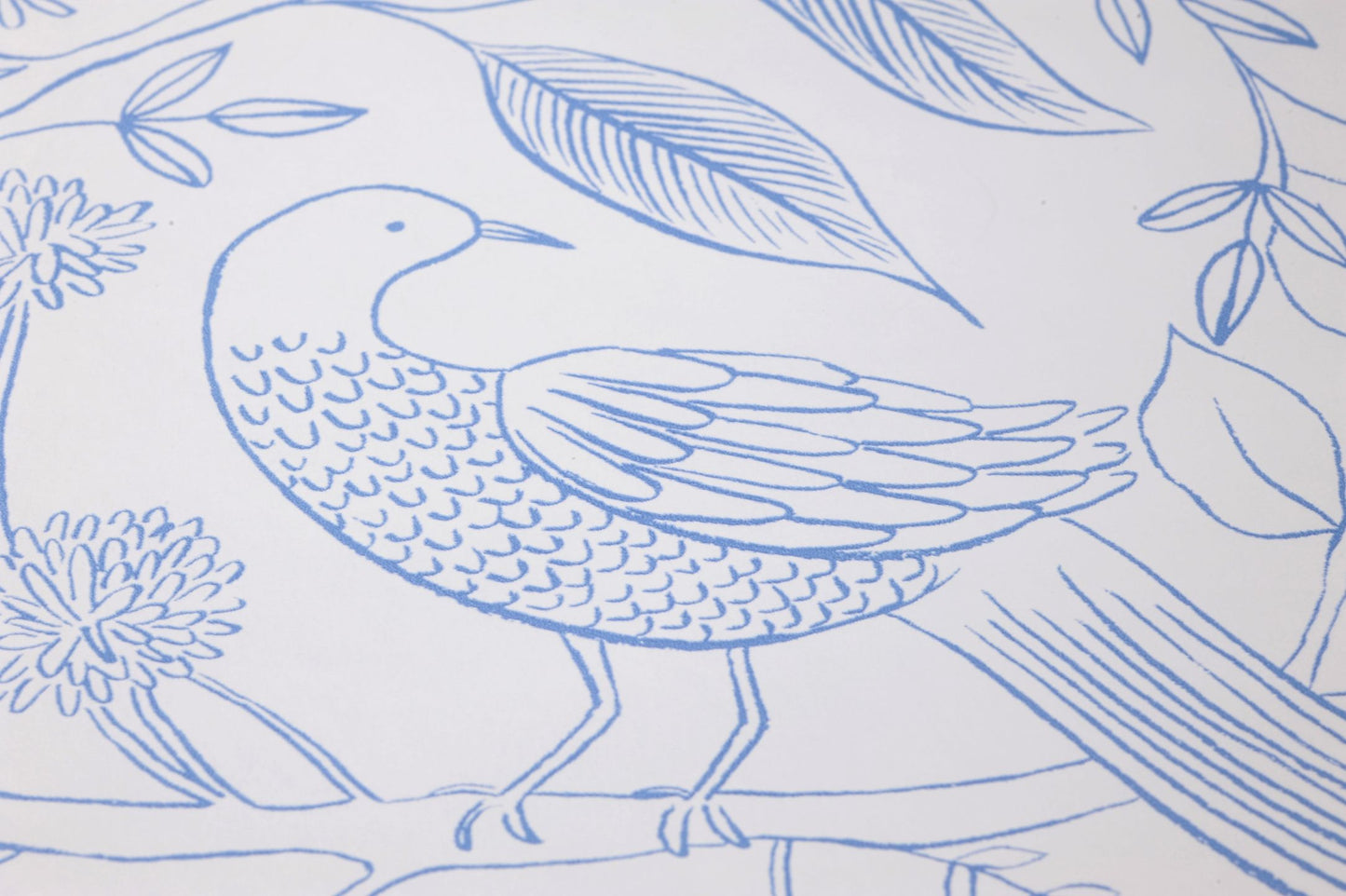 YORK Aviary White