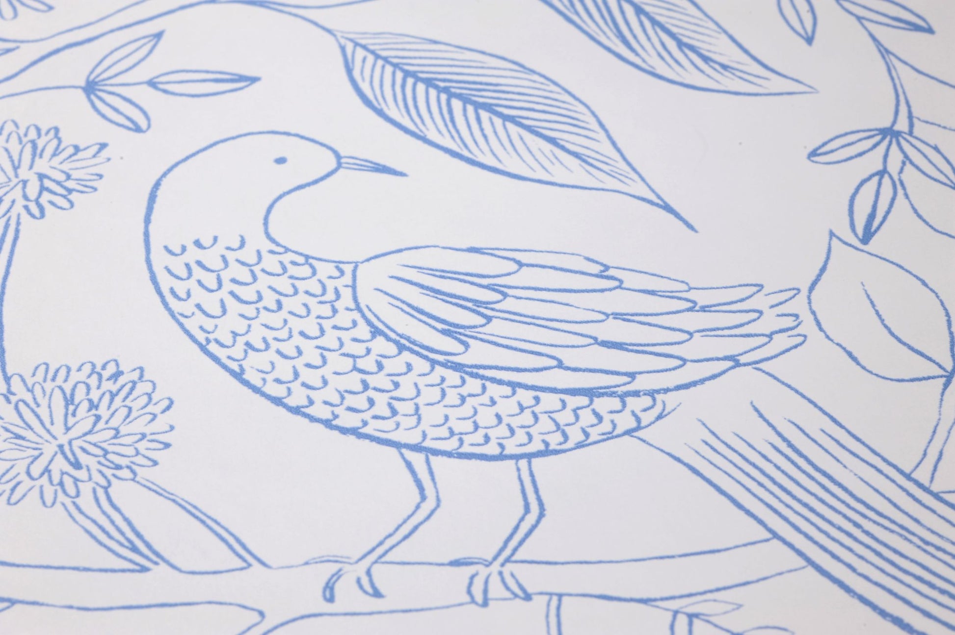 YORK Aviary White