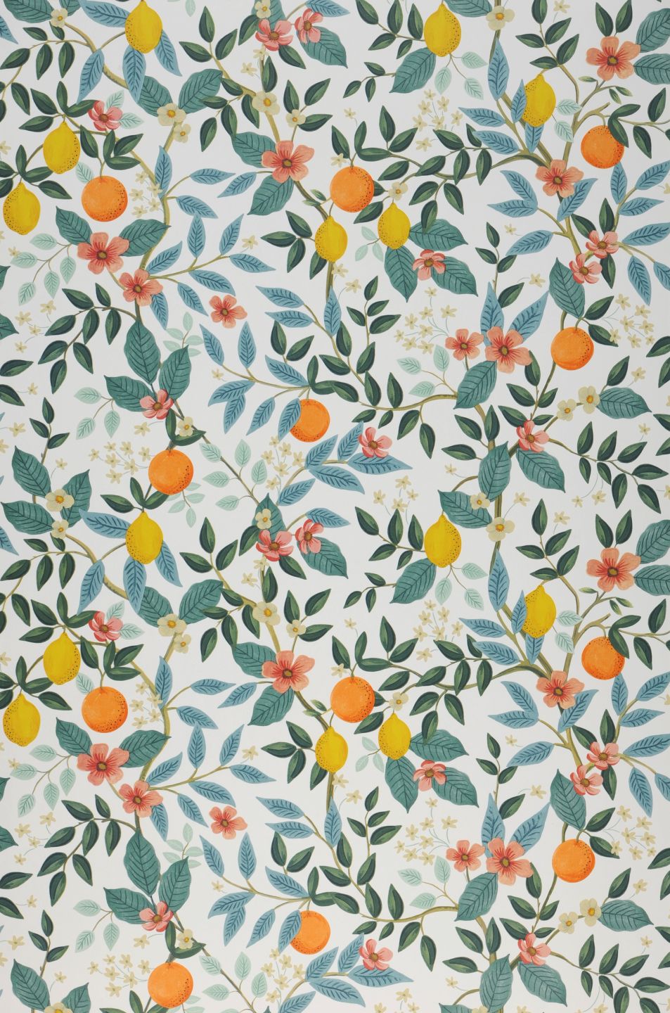  Citrus Grove White