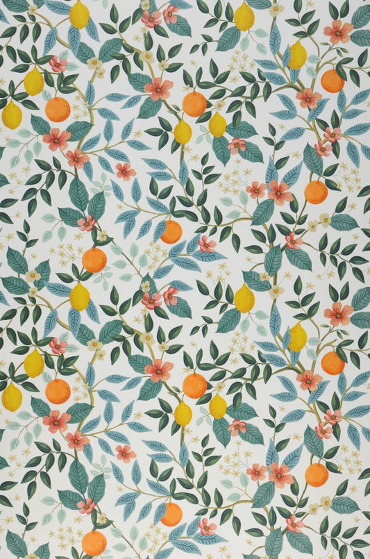  Citrus Grove White