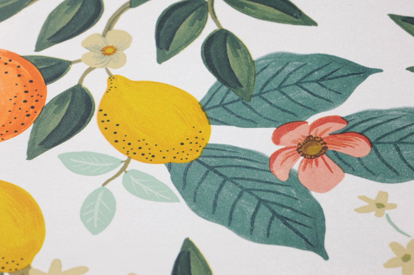  Citrus Grove White