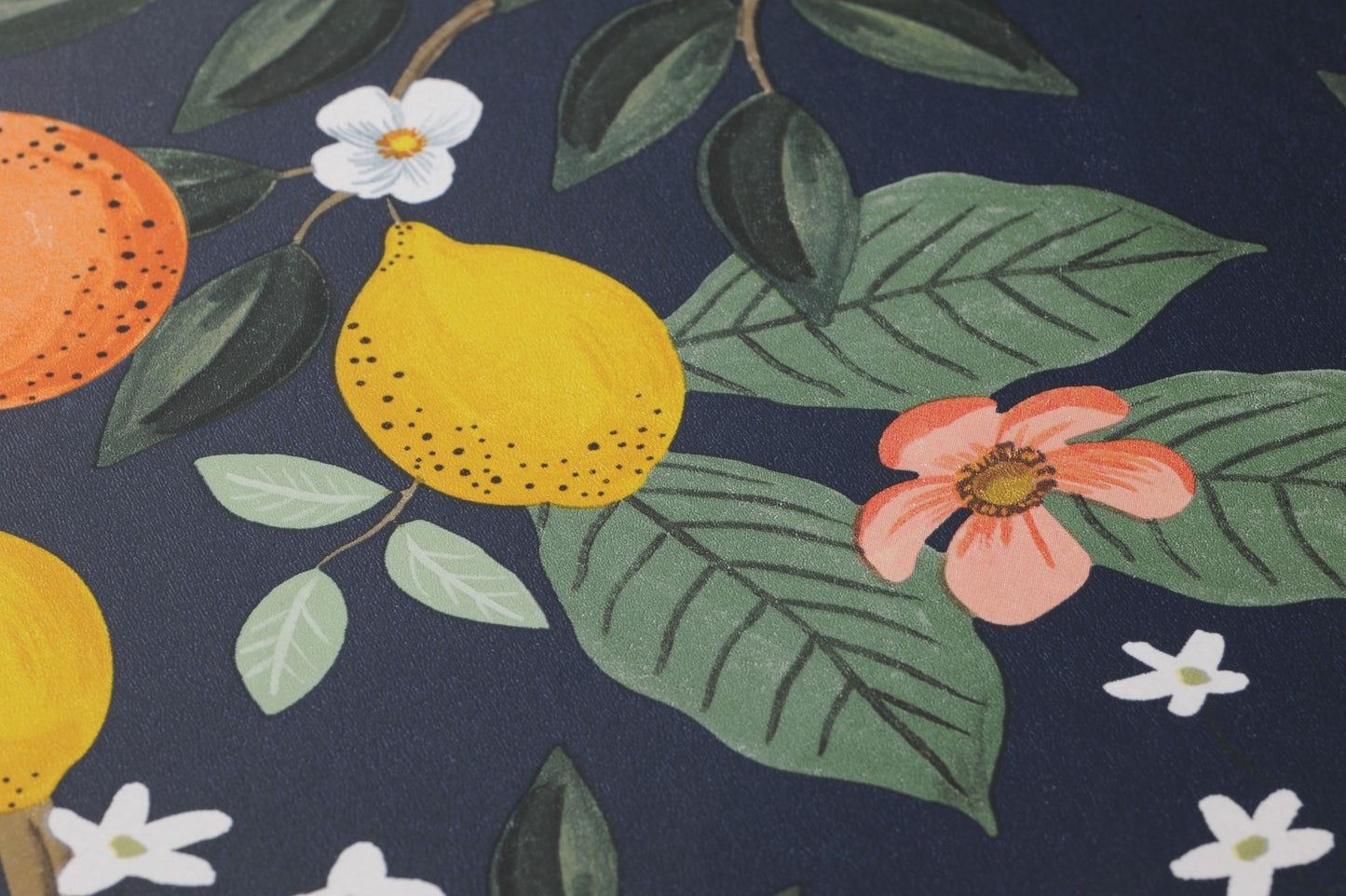  Citrus Grove Dark Blue