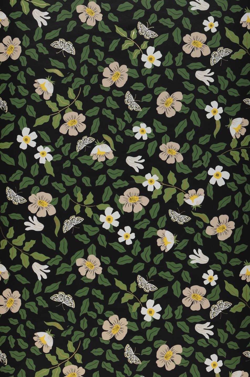  Primrose Field Black