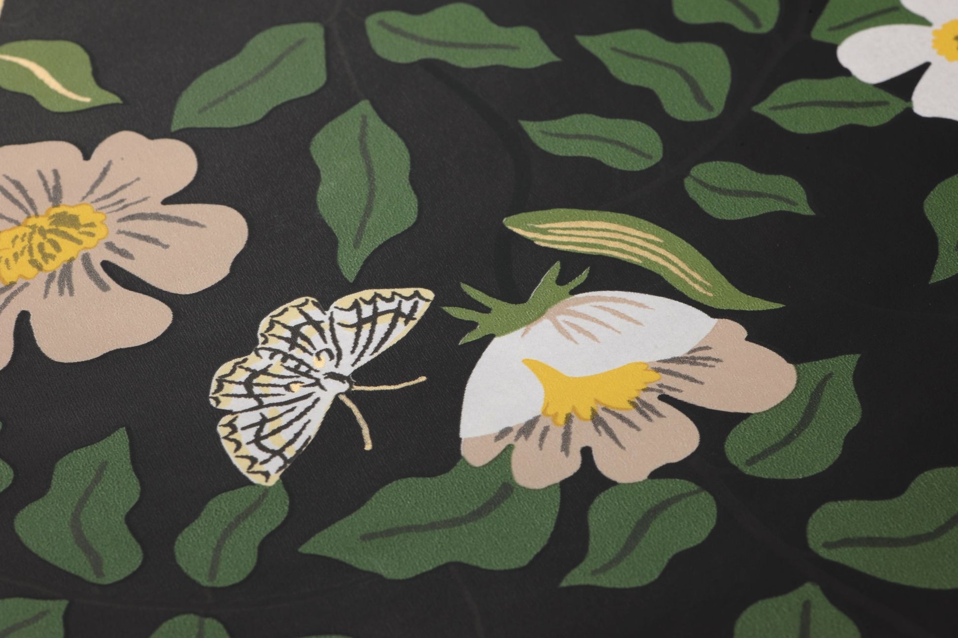  Primrose Field Black