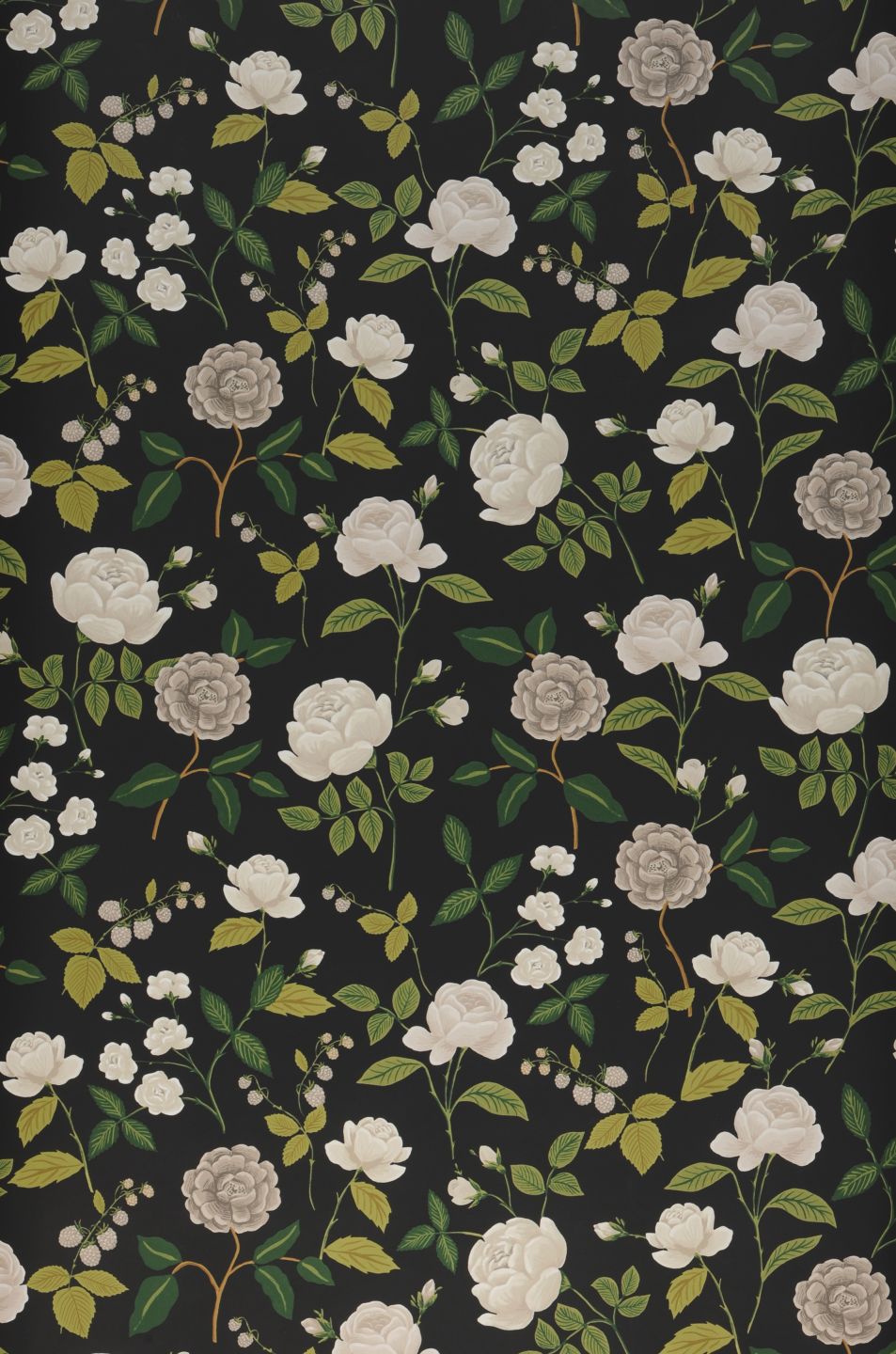 YORK Roses Black