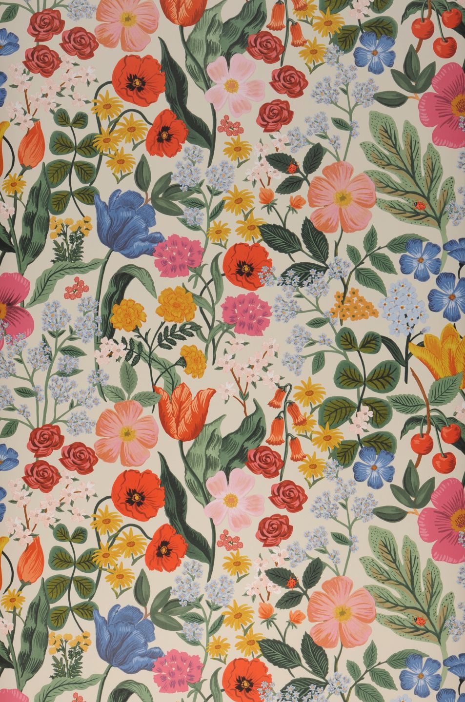 YORK Rifle Blossom Beige