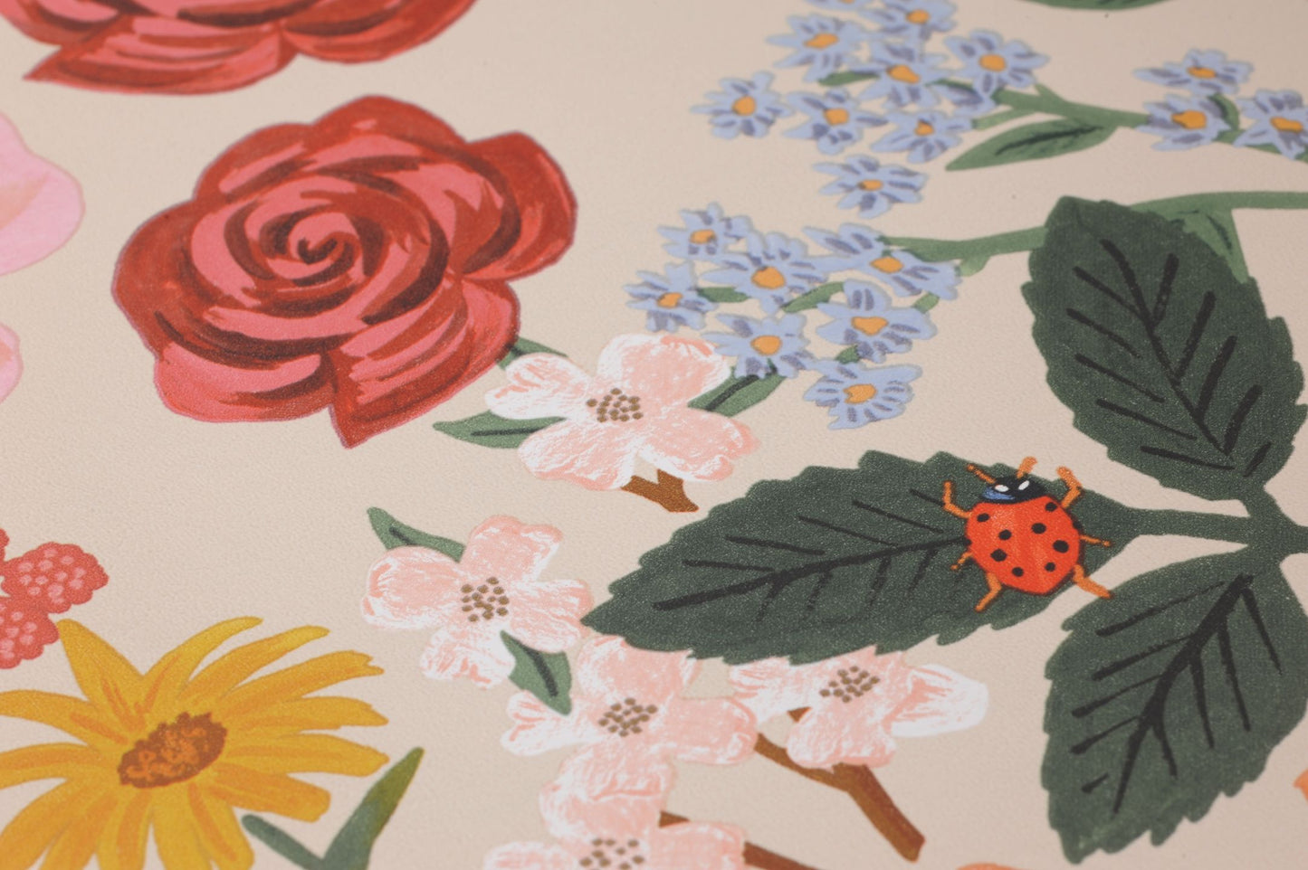 YORK Rifle Blossom Beige