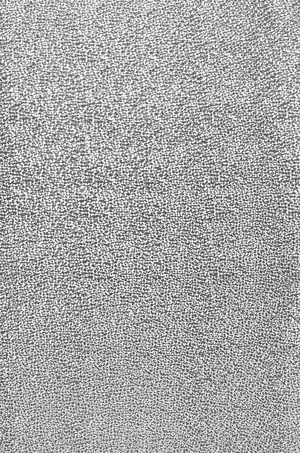  Kewan Silver Lustre
