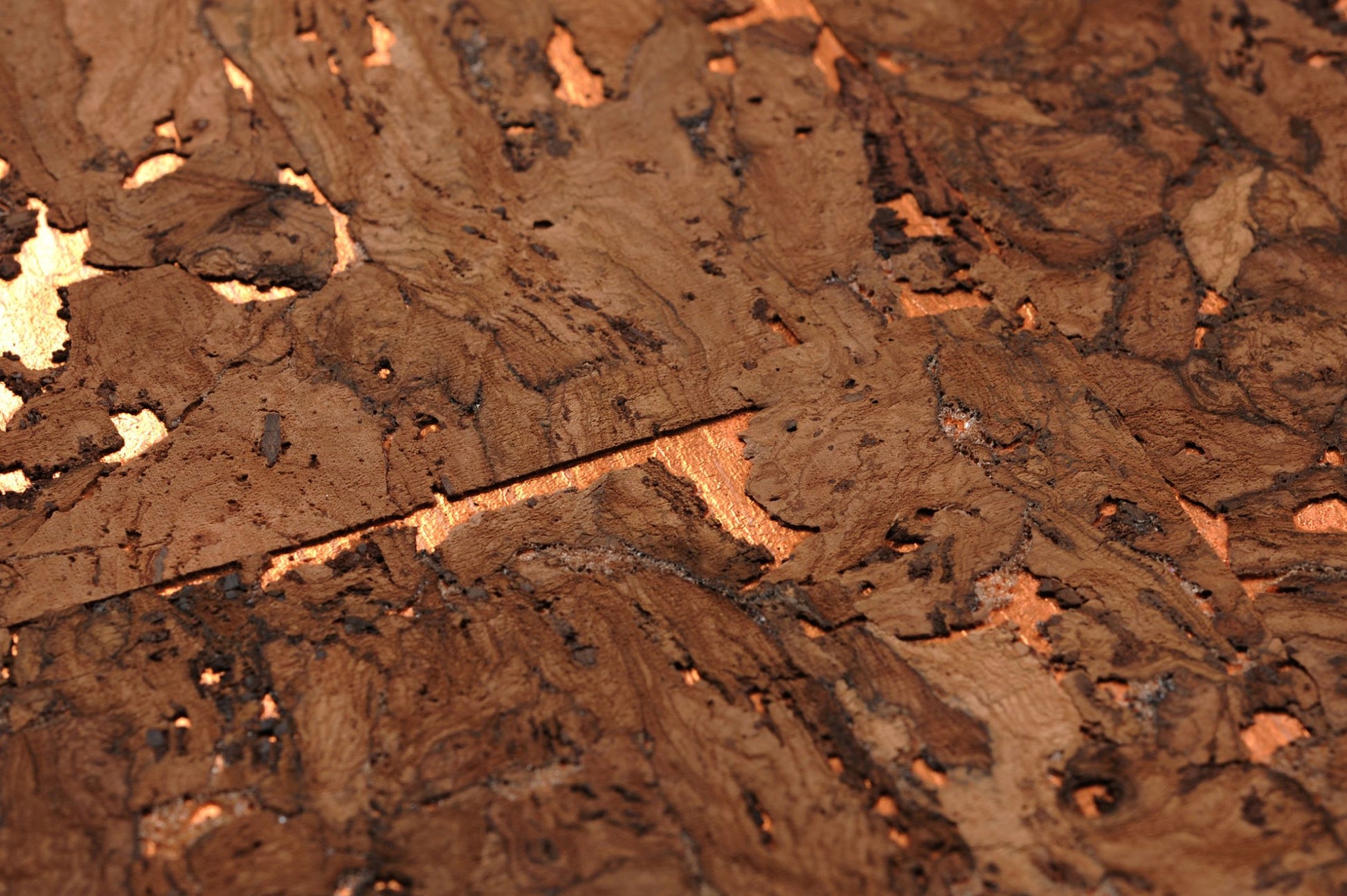  Cork On Roll 03 Brown Tones
