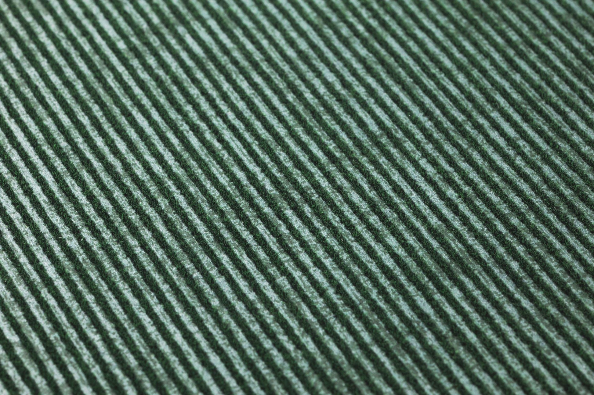  Hotaru Dark Green