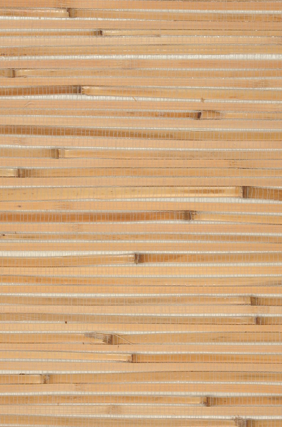  Bamboo On Roll 01 Beige
