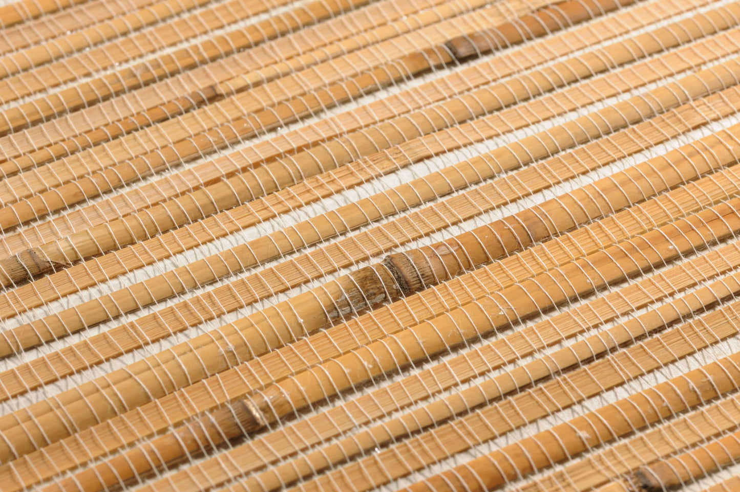  Bamboo On Roll 01 Beige