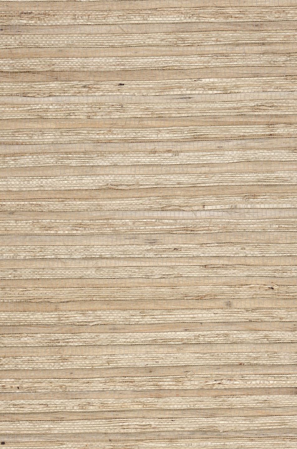 Arrowroot On Roll 01 Beige