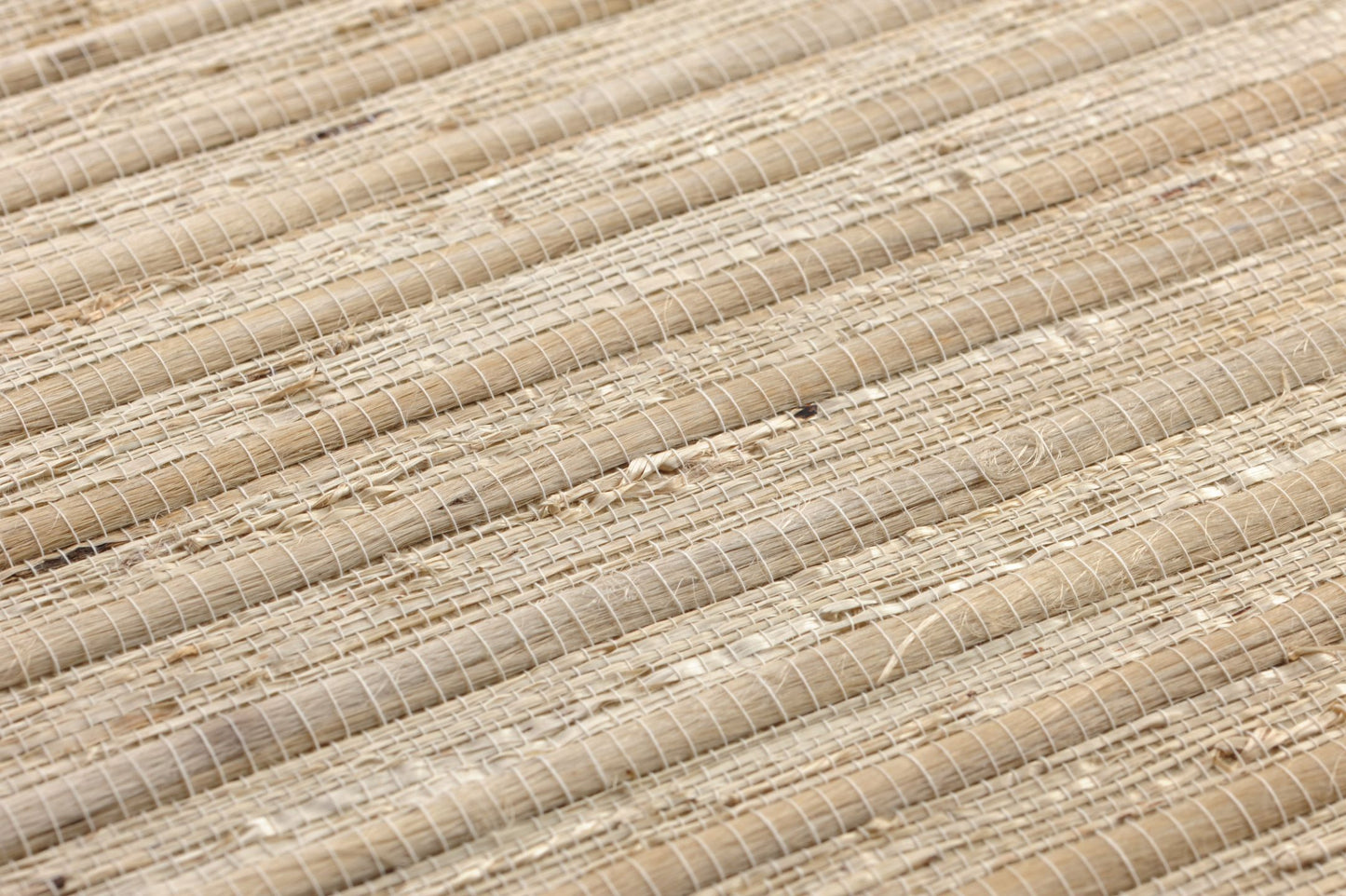  Arrowroot On Roll 01 Beige