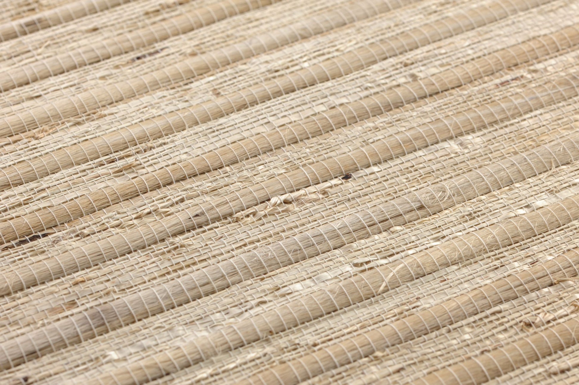  Arrowroot On Roll 01 Beige