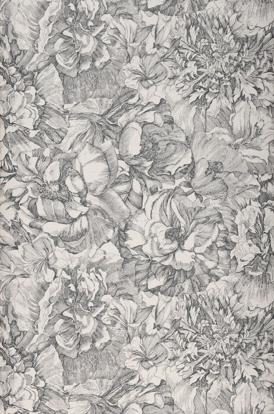  Louise Basalt Grey