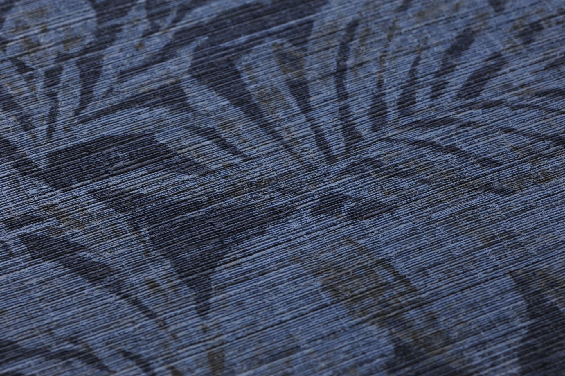  Moa Pigeon Blue