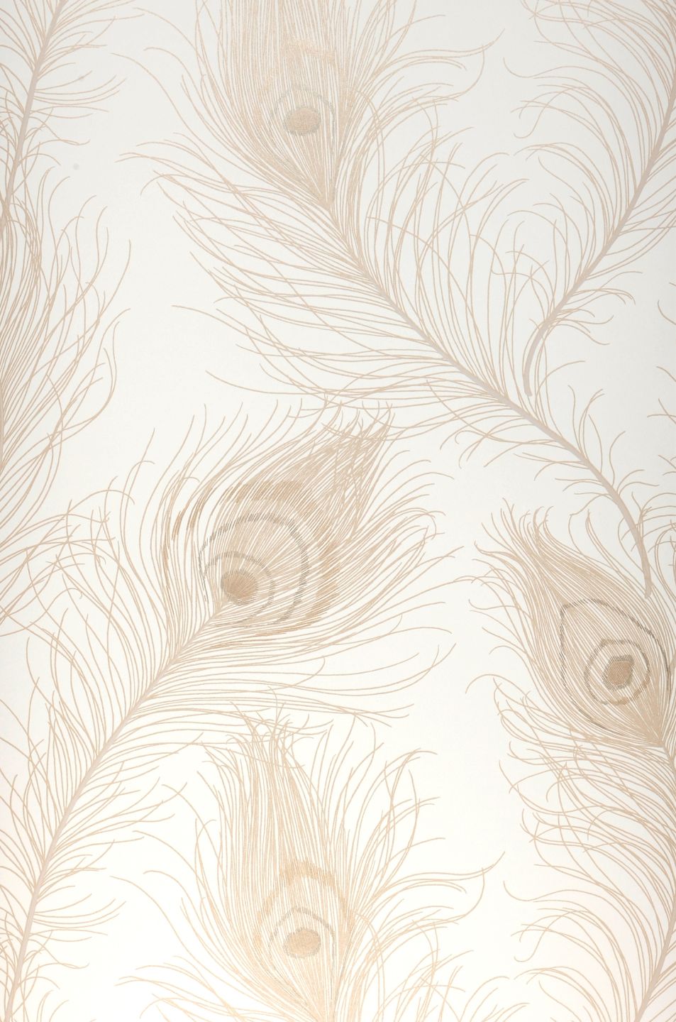  Pavone Cream White