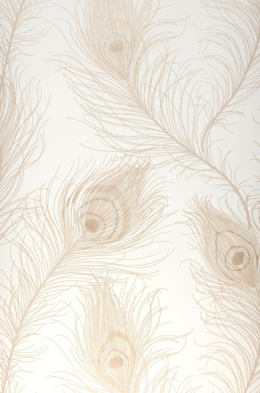  Pavone Cream White