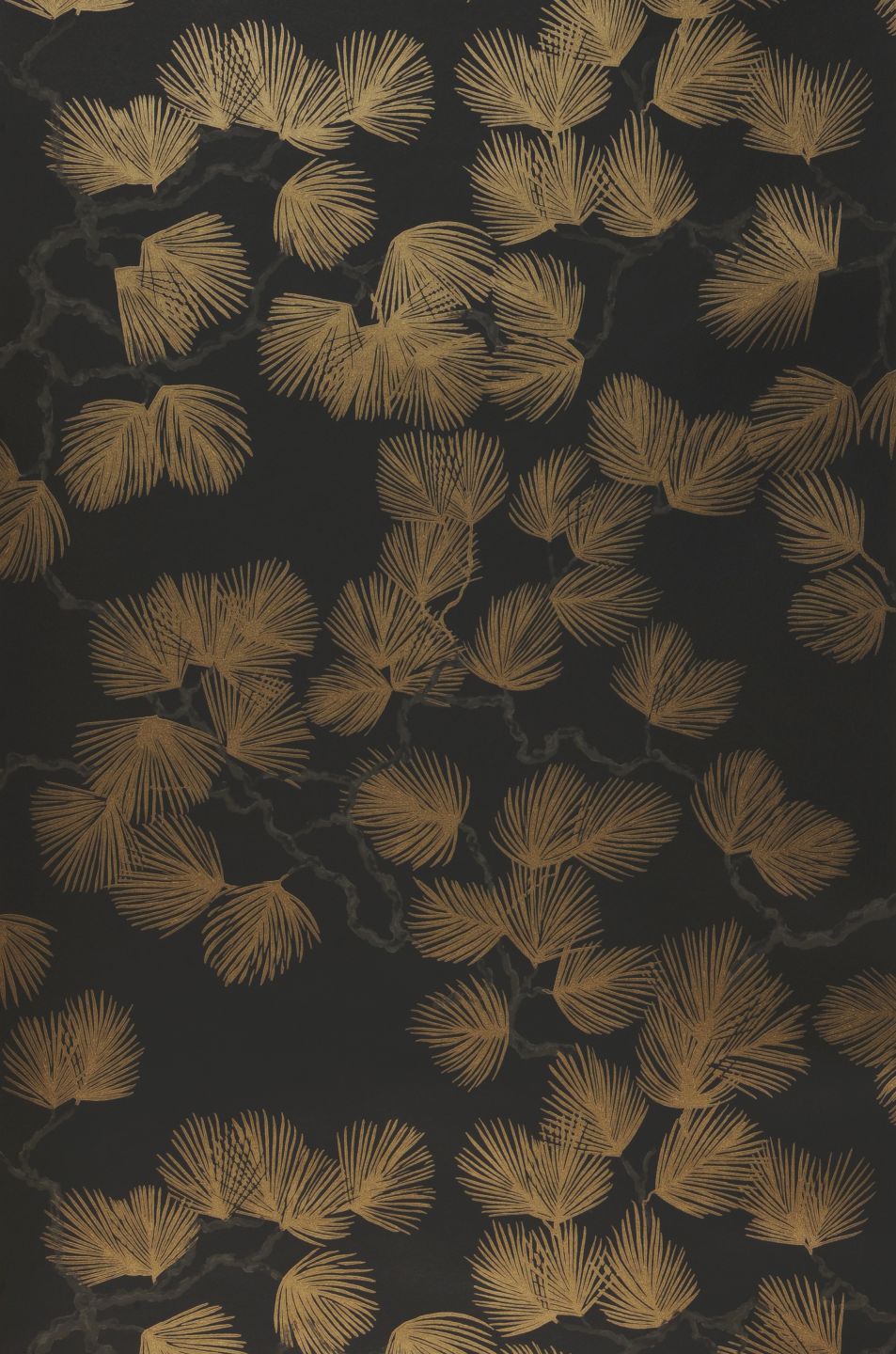 Sandberg Pine Gold Shimmer