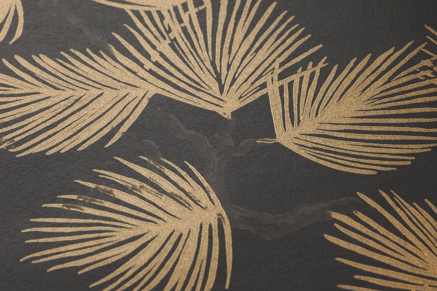 Sandberg Pine Gold Shimmer