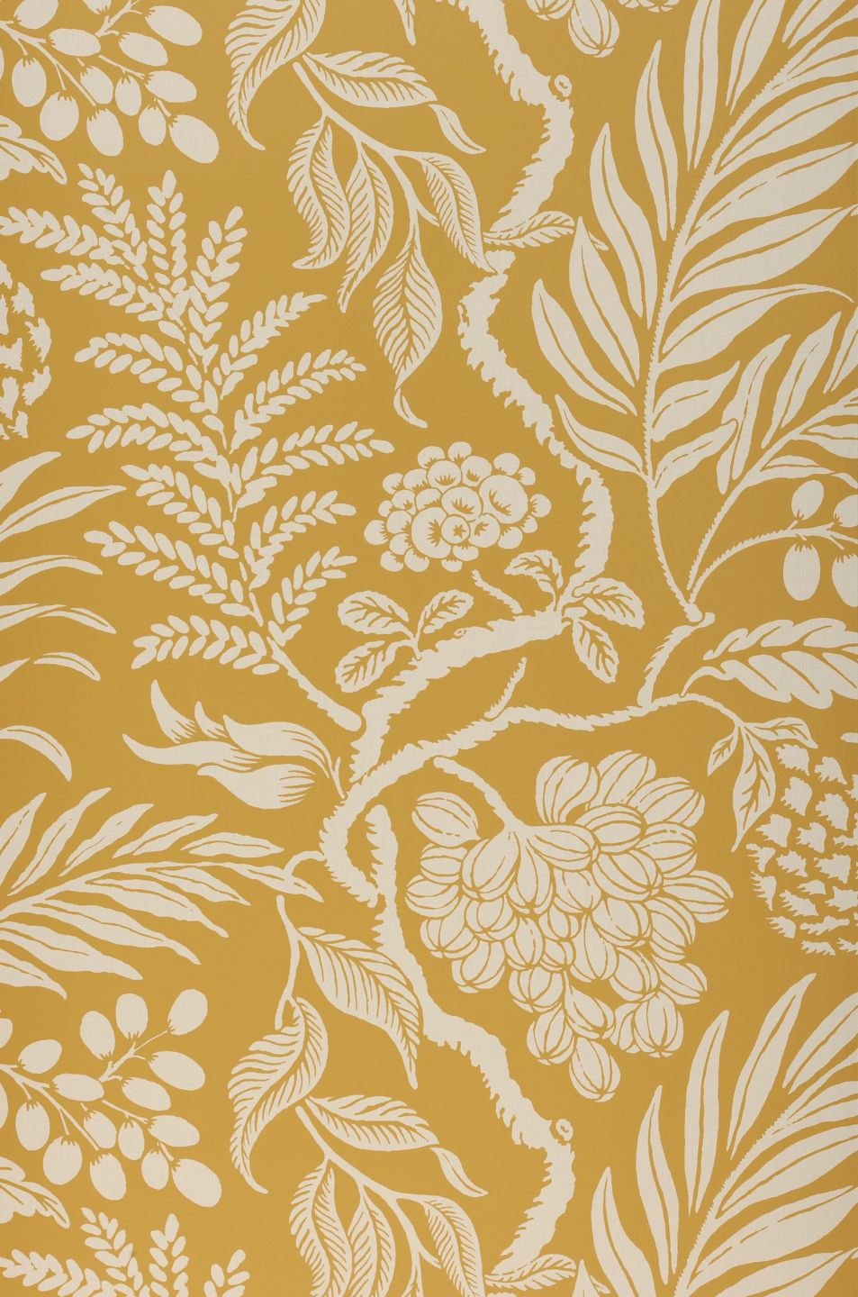  Cornucopia Ochre Yellow