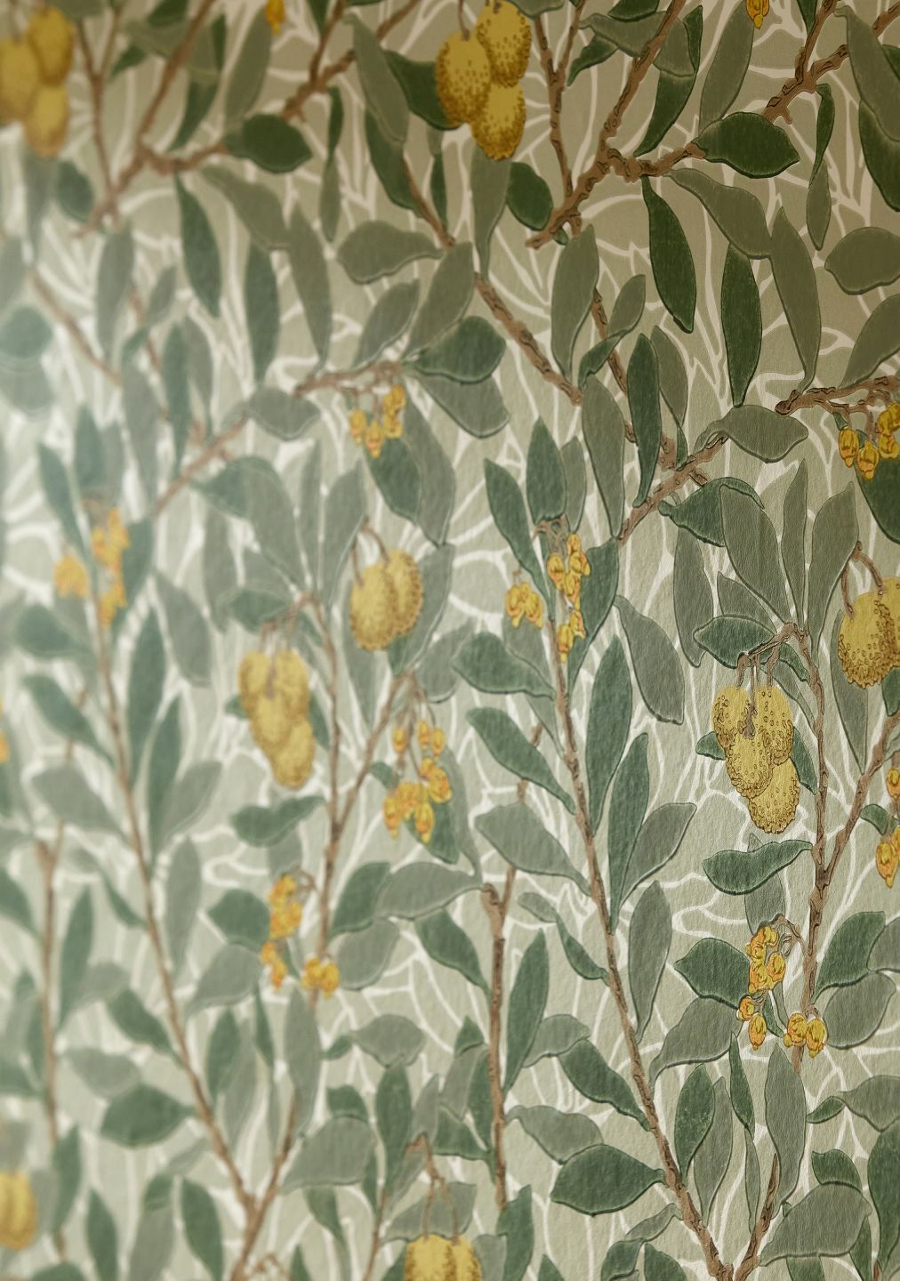  Arbutus White