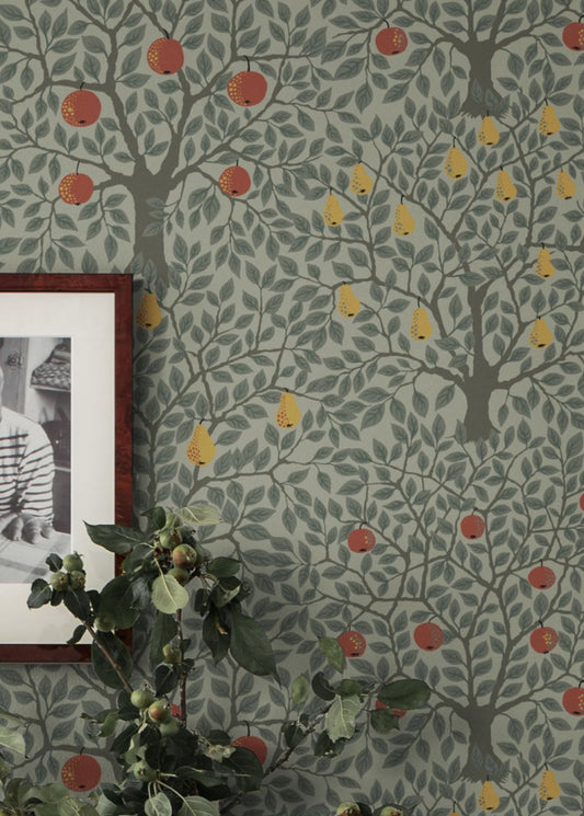  Berita Moss Grey