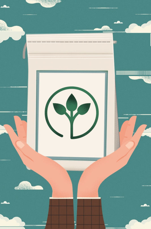  Organic Wallpapering Paste