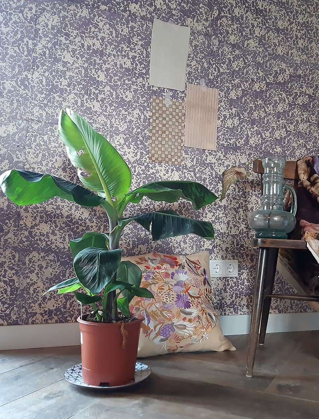  Ekajata Lilac