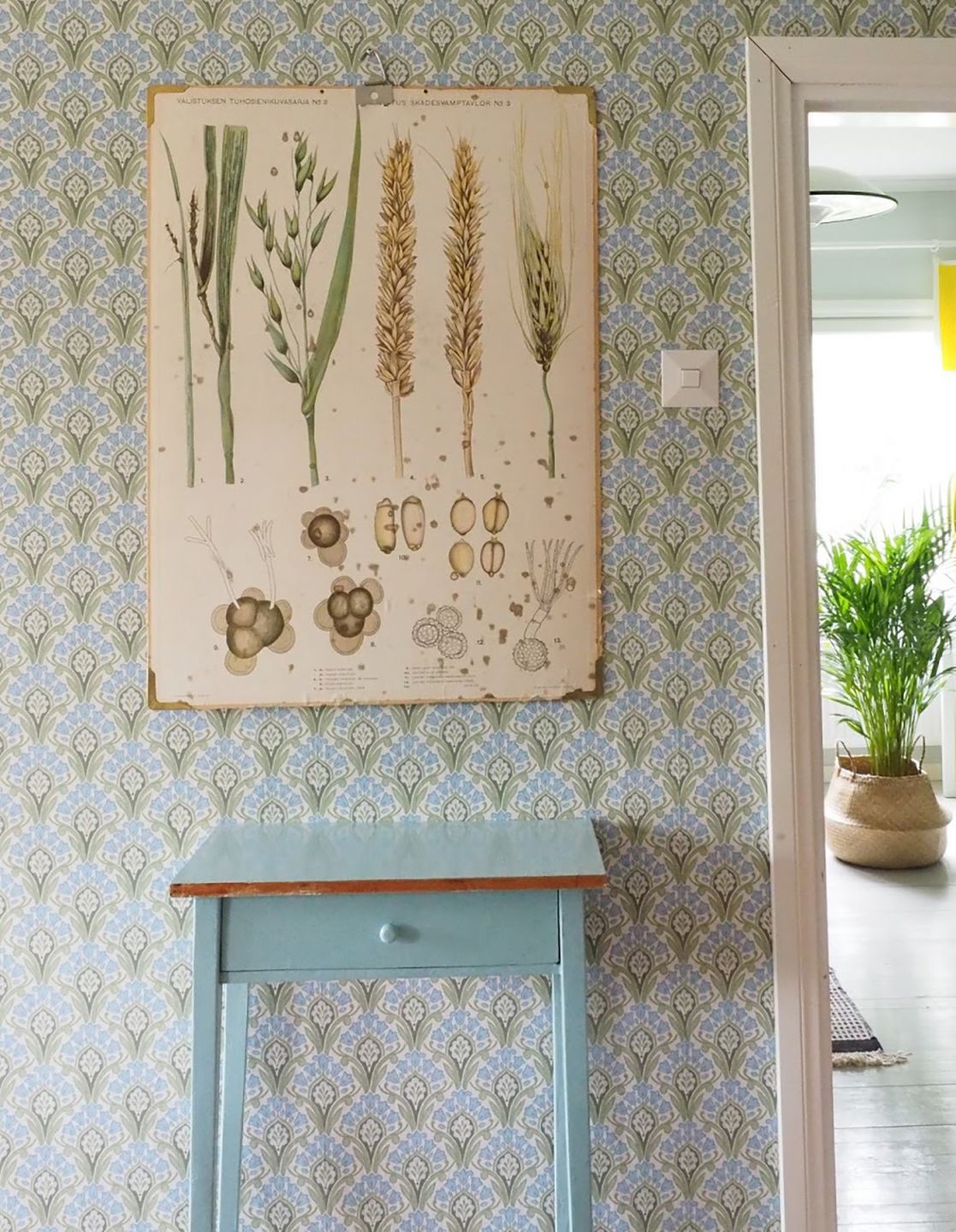  Florence Pastel Blue